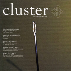 CLUSTER  - Wireless - #02/2004